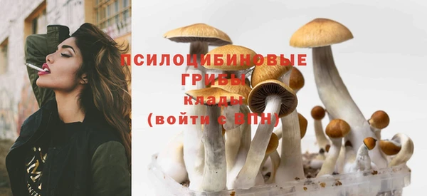 гашик Абдулино