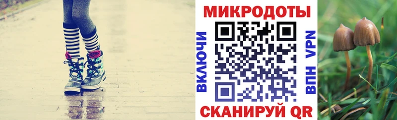 Галлюциногенные грибы мухоморы  где можно купить   Астрахань 